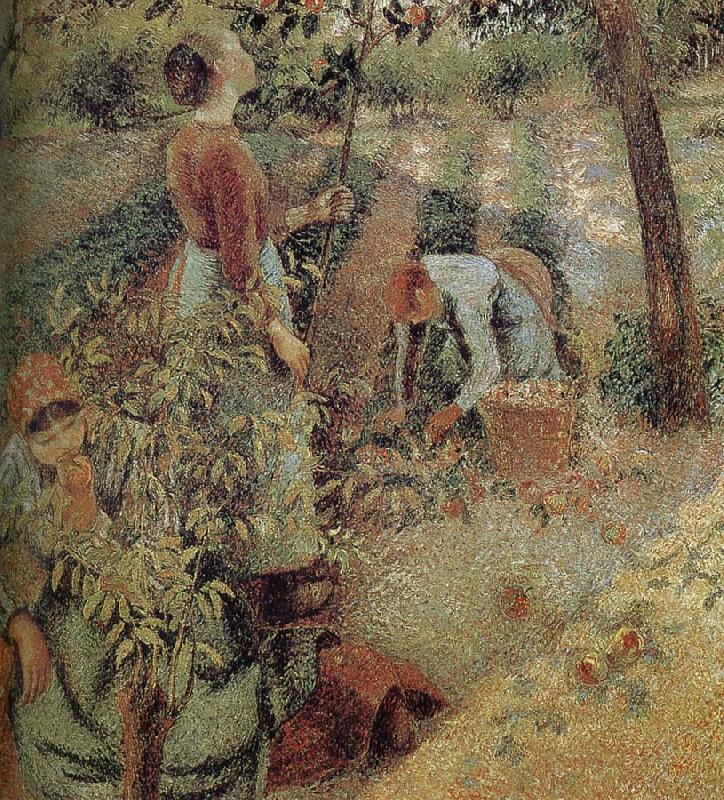 Camille Pissarro woman picking apples oil painting picture